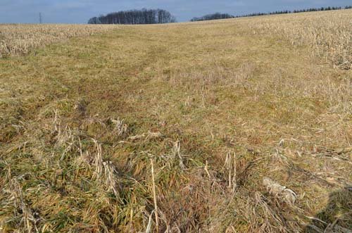 Property photo 4 - 98+/- Acres Offered in 6 Tracts or Combinations, Noble County, Indiana Farm